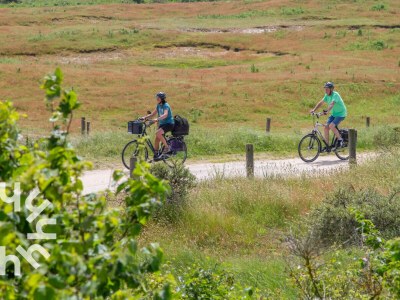 Chalet Renesse - ZE1284 - Environment photo 14