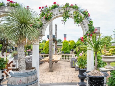 Chalet Renesse - ZE1284 - Environment photo 27