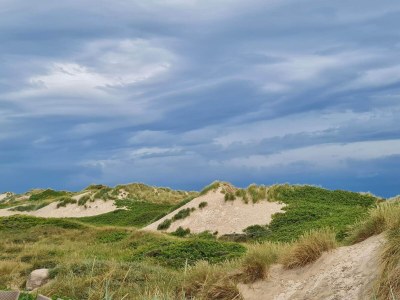 Holiday house 4 Sterne Ferienhaus in Blokhus-By Traum - Outdoor photo 20