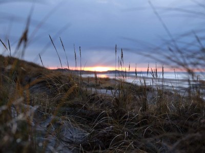 Holiday house 4 Sterne Ferienhaus in Blokhus-By Traum - Outdoor photo 21