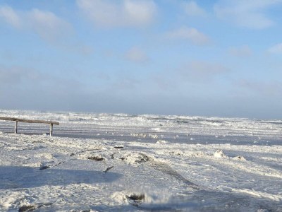 Holiday house 4 Sterne Ferienhaus in Blokhus-By Traum - Outdoor photo 22