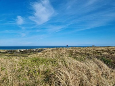 Holiday house 4 Sterne Ferienhaus in Blokhus-By Traum - Outdoor photo 24