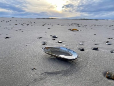 Holiday house 4 Sterne Ferienhaus in Blokhus-By Traum - Outdoor photo 25