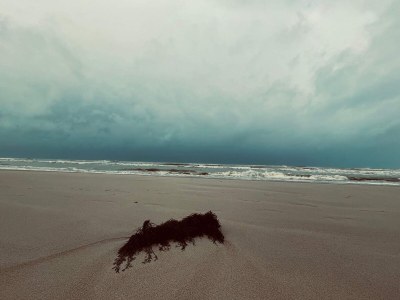 Holiday house 4 Sterne Ferienhaus in Blokhus-By Traum - Outdoor photo 32