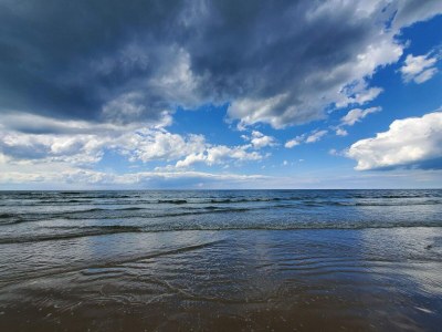 Holiday house 4 Sterne Ferienhaus in Blokhus-By Traum - Outdoor photo 35