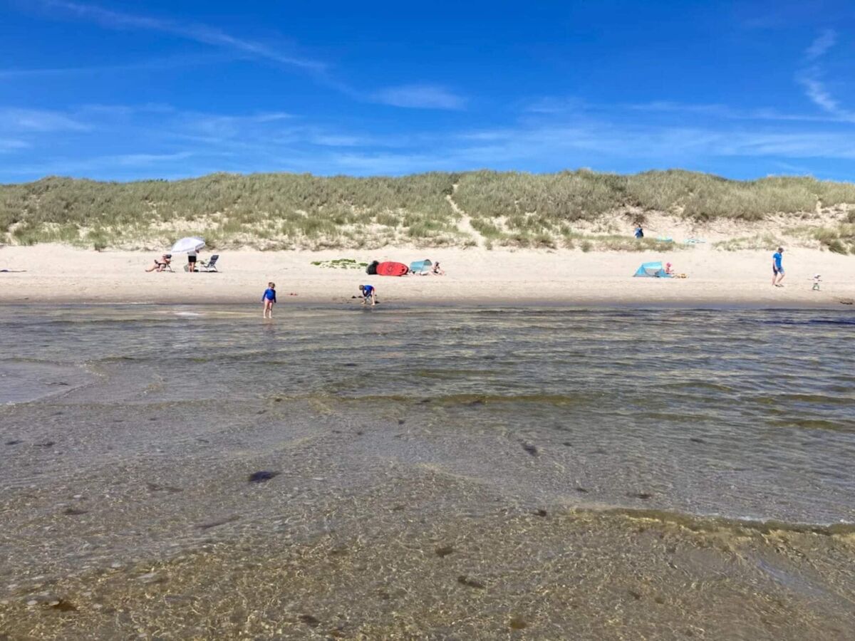 Holiday house 5 star holiday home in Ålbæk-By Traum - Outdoor photo 5