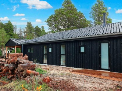 Holiday house 5 star holiday home in Ålbæk-By Traum - Outdoor photo 23