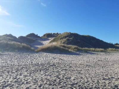 Holiday house 5 star holiday home in Ålbæk-By Traum - Outdoor photo 24