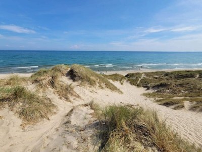 Holiday house 5 star holiday home in Ålbæk-By Traum - Outdoor photo 25