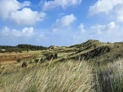 Holiday house 5 star holiday home in Ålbæk-By Traum - Outdoor photo 31