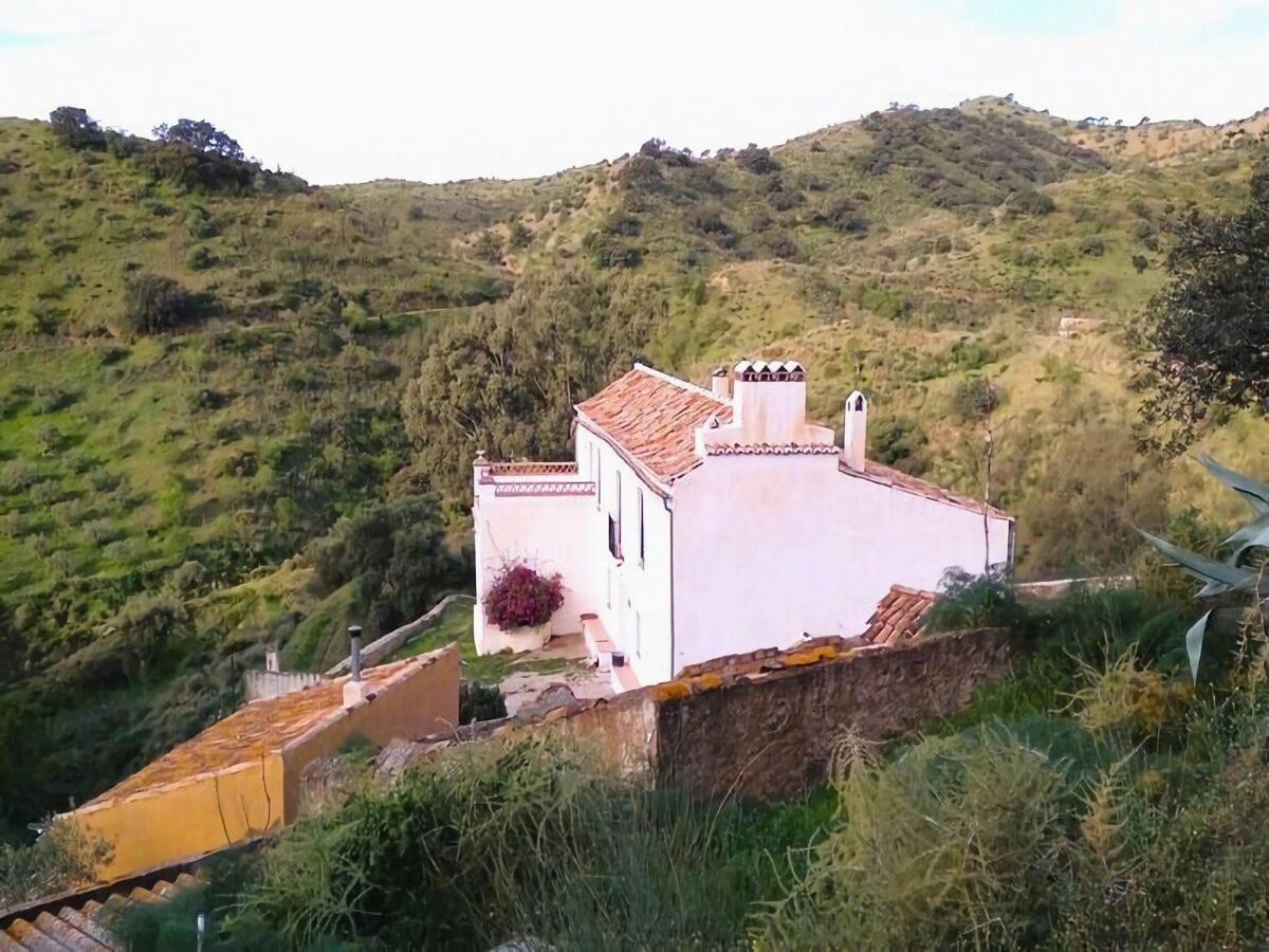 Holiday house Andalusian farmhouse for workshops, retreats or events - Outdoor photo 3