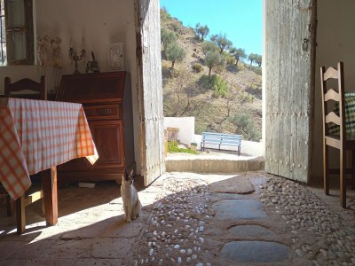 Holiday house Andalusian farmhouse for workshops, retreats or events - Features photo 6