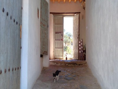 Holiday house Andalusian farmhouse for workshops, retreats or events - Features photo 25