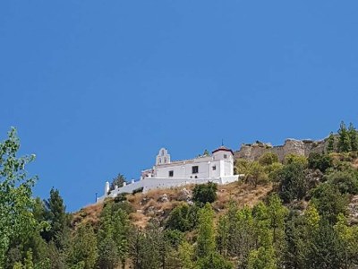 Holiday house Andalusian farmhouse for workshops, retreats or events - Environment photo 35