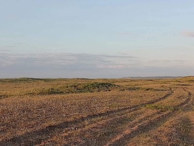 Holiday house 7 person holiday home in Fjerritslev-By Traum - Outdoor photo 30