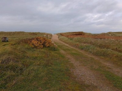 Holiday house 7 person holiday home in Fjerritslev-By Traum - Outdoor photo 31