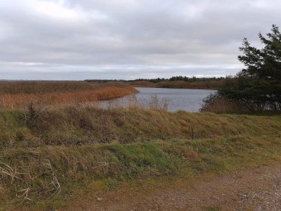 Holiday house 7 person holiday home in Fjerritslev-By Traum - Outdoor photo 37