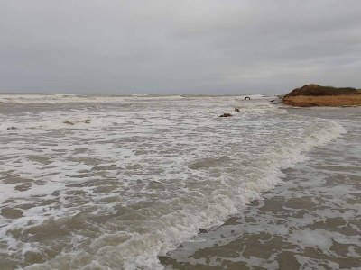 Holiday house 7 person holiday home in Fjerritslev-By Traum - Outdoor photo 49