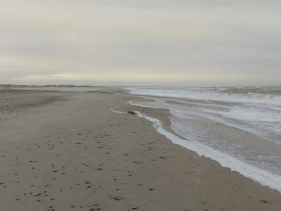 Holiday house 7 person holiday home in Fjerritslev-By Traum - Outdoor photo 50