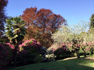 Holiday house The Rustics of Villa Donati - Outdoor photo 7