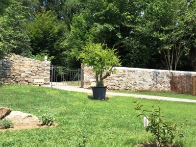 Holiday house The Rustics of Villa Donati - Outdoor photo 9