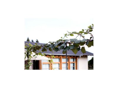 Holiday house The Rustics of Villa Donati - Outdoor photo 38