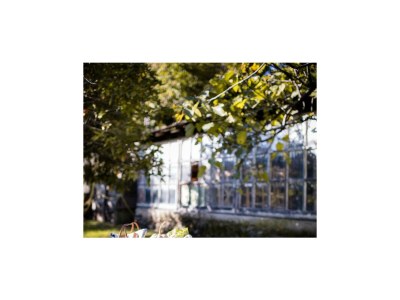 Holiday house The Rustics of Villa Donati - Outdoor photo 51