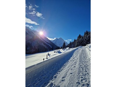 Apartment Wohnung 2 Pers./Wohn-Schlafraum/DU/WC - Outdoor photo 2