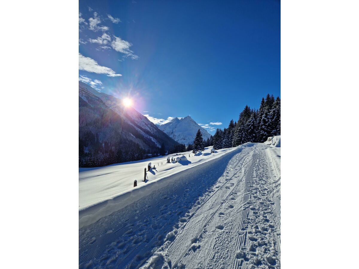 Apartment Wohnung 2-3 Pers./1 Schlafraum/DU/WC - Outdoor photo 2