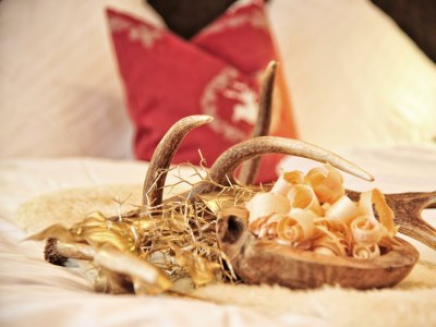 Apartment Ferienwohnung Idalp für 4-6 Pers./3 Schlafz./DU/WC - Features photo 43