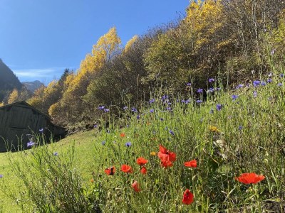Holiday room Doppelzimmer mit Sofa - Features photo 24