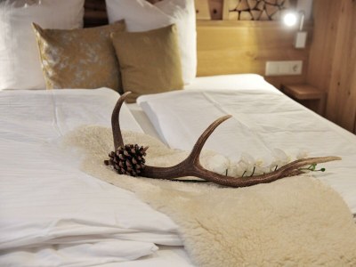 Apartment FW Höllkar für 3-4 Pers./2 Schlafr/Dusche,WC - Features photo 42