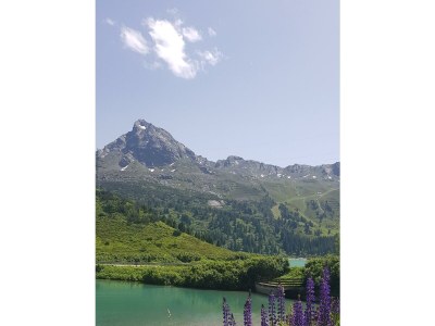 Apartment Appartement/Fewo, 8-9 Personen, Dusche, WC - Outdoor photo 25