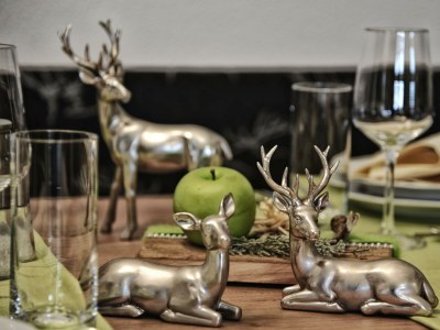 Apartment Appartement Madlein de luxe 1- 4 Personen - Features photo 16