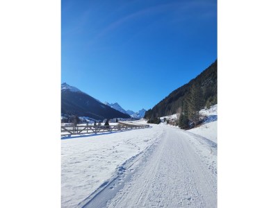 Holiday room Dreibettzimmer mit Dusche, WC - Outdoor photo 9