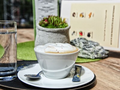 Holiday room Einzelzimmer Deluxe  mit Halbpension - Outdoor photo 40