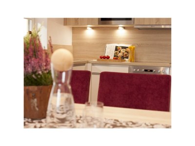 Apartment Bergliebe (Top 3) - Features photo 18