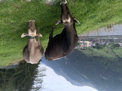 Holiday room Zimmer für 2-3 Personen - Outdoor photo 9