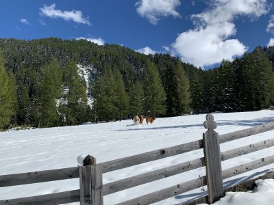 Holiday room Zimmer für 2-3 Personen - Outdoor photo 21