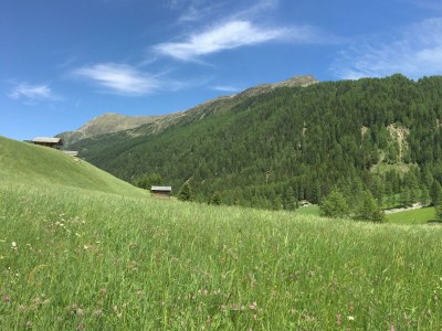 Apartment Appartement 1 für 4-6 Pax - Outdoor photo 24