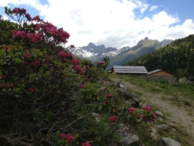 Apartment Souterrain App. 4 für 2 Pax - Outdoor photo 8