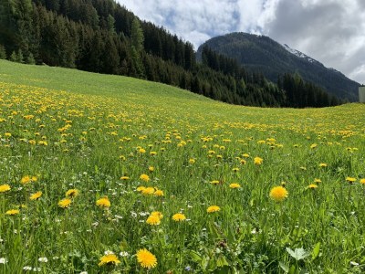 Apartment Souterrain App. 4 für 2 Pax - Outdoor photo 19