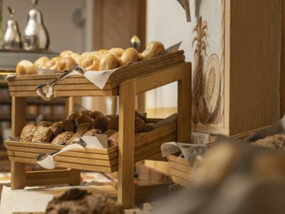 Holiday room Suite SONNENSCHLÖSSL mit Dusche, WC - Outdoor photo 10