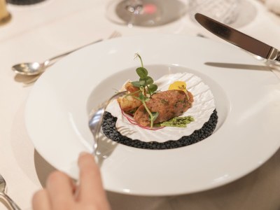 Holiday room Suite SONNENSCHLÖSSL mit Dusche, WC - Outdoor photo 54