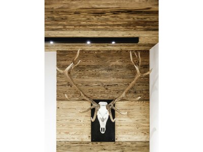 Apartment Typ 2 Standard - Outdoor photo 11