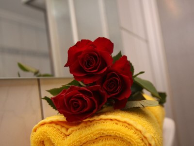 Holiday room Dreibettzimmer mit Dusche, WC - Features photo 11