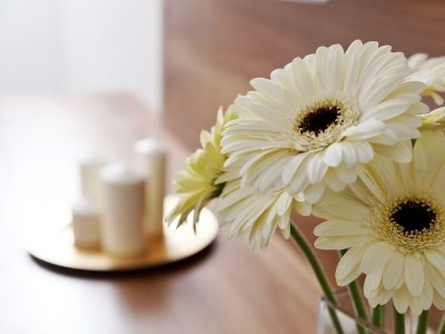 Apartment Ap. 8-10 Pers./4 Schlafz/2xDU,1xBad,3xWc - Features photo 34