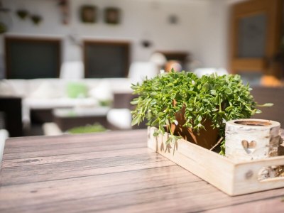 Apartment Apartment 2, 2 Badezimmer, WC, 1 Schlafraum - Outdoor photo 10