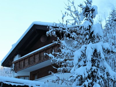 Apartment Ferienwohnung 1 für 4-6 Personen in Kappl - Apartment