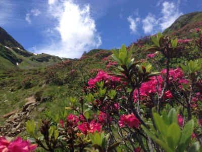 Apartment Wohnung 3/8-10 Pers./4 Schlafräume - Outdoor photo 9